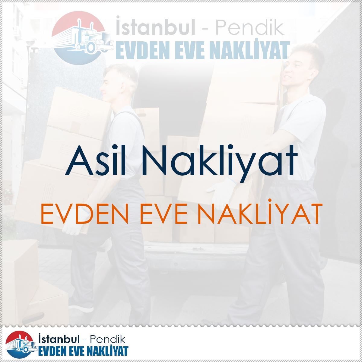 Asil Nakliyat : Kapak Görseli